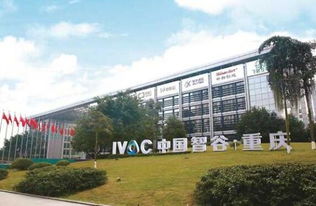 世界了解重庆的窗口 蓬勃发展的重庆科技服务